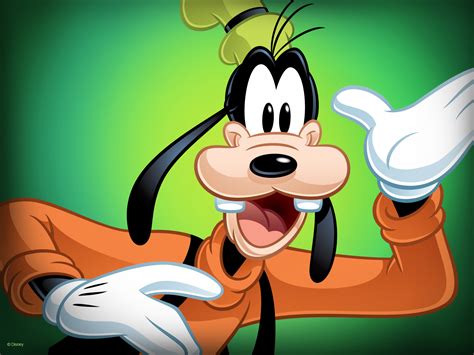 photo of goofy